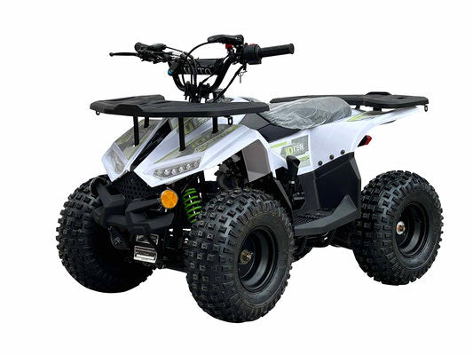 RXR 110cc Youth ATV (With Reverse)