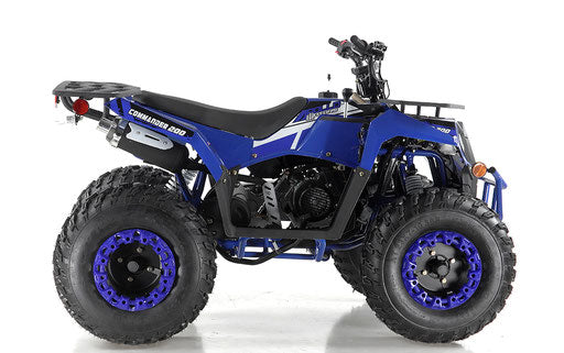 Apollo Commander 200cc ATV (Automatic)