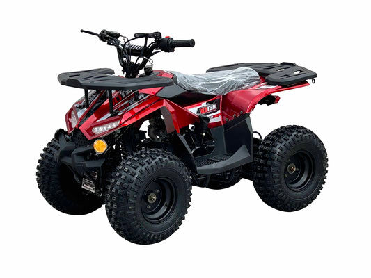 RXR 110cc Youth ATV (With Reverse)