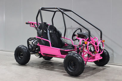 Mini Raptor 125GKG 125cc Kids Go Kart