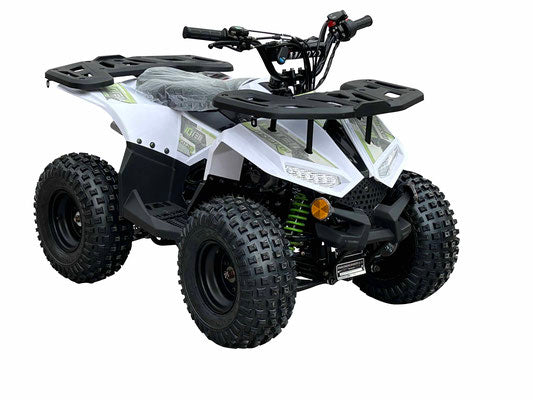 RXR 110cc Youth ATV (With Reverse)