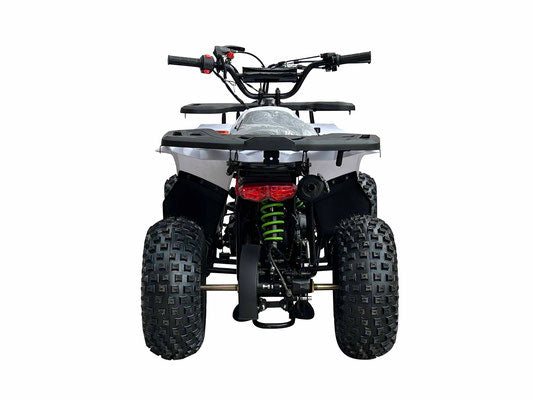 RXR 110cc Youth ATV (With Reverse)