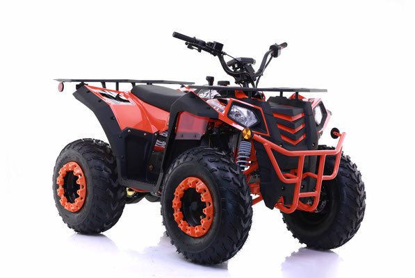 Teen and Adult ATV's