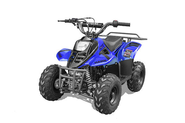 Rex 110cc youth ATV in blue