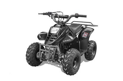 Rex 110cc Youth ATV