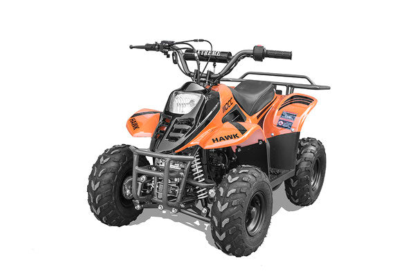 Rex 110cc Youth ATV