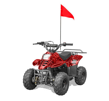 Rex 110cc Youth ATV