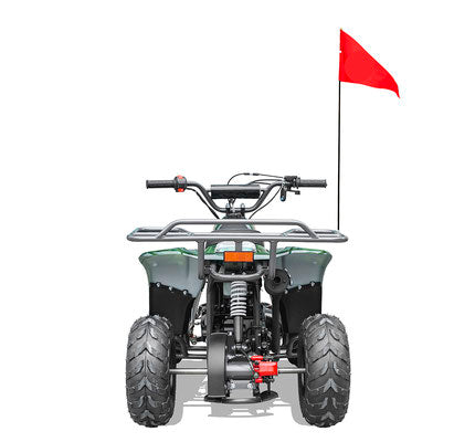 Rex 110cc Youth ATV