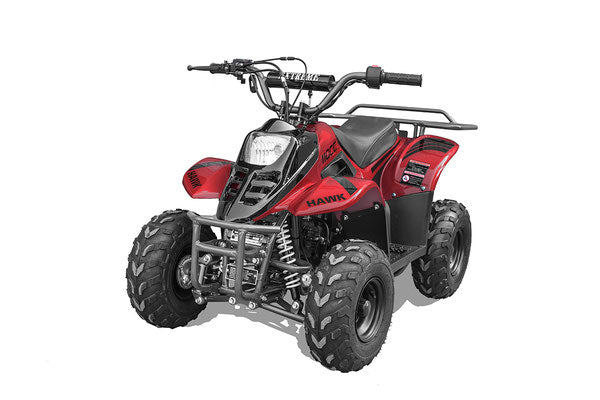 Rex 110cc Youth ATV